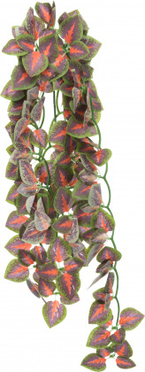 zijden hangplant folium perillae