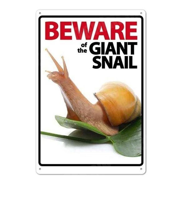 Beware of the giant snail bord