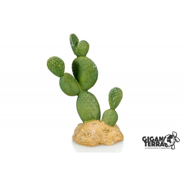 Giganterra Cactus 10.5x7x16