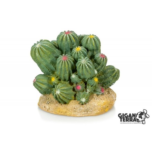 Giganterra Cactus 12x10.5x11